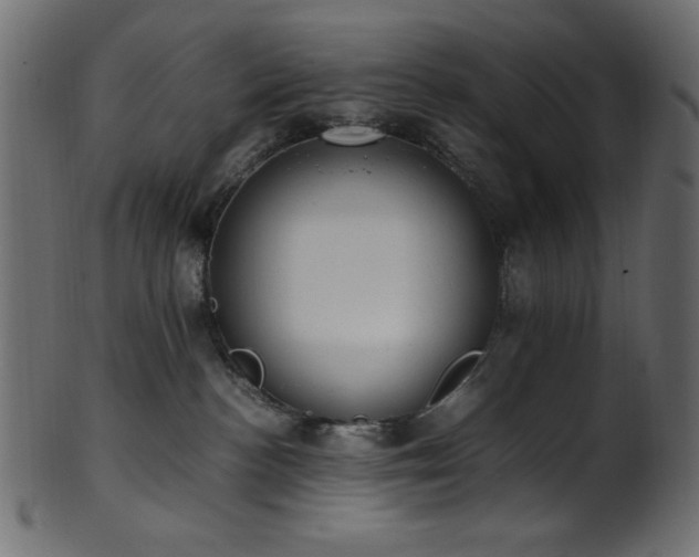 X0000101990188200807181156