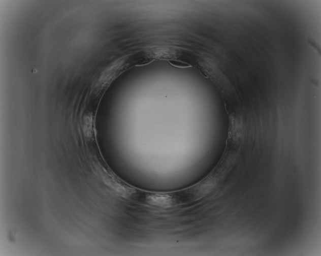 X0000101990189200807181156