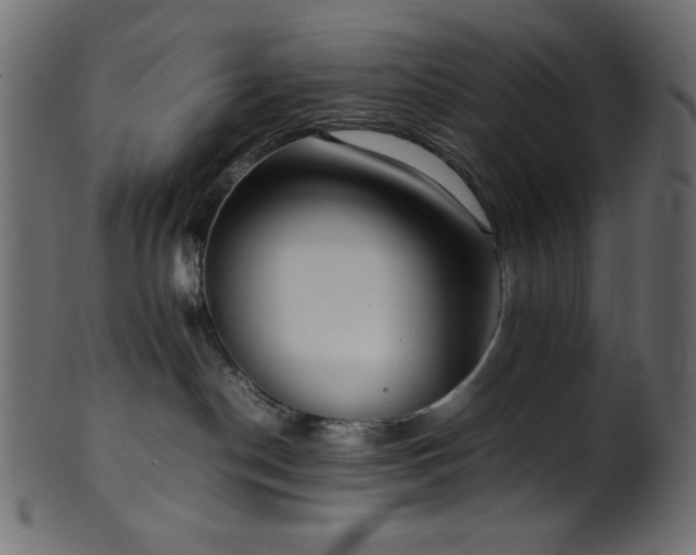 X0000101990190200807181156