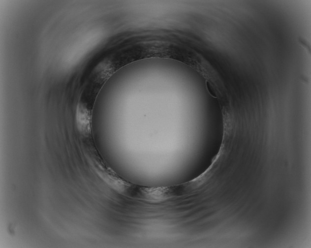 X0000101990191200807181156