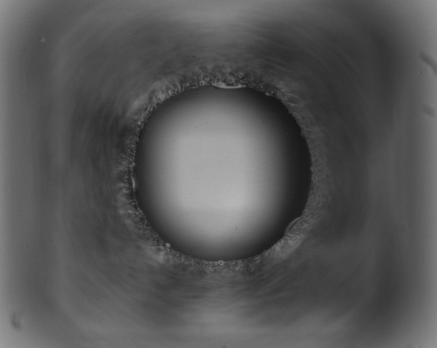 X0000101990192200807181156