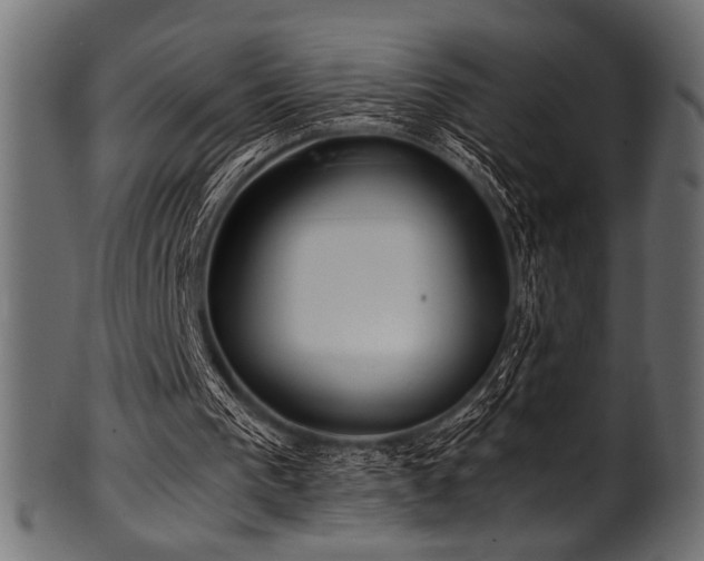 X0000101990193200807181155