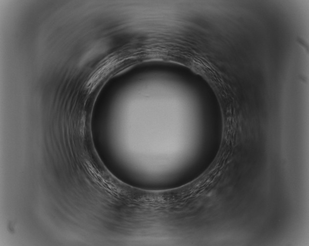 X0000101990194200807181155