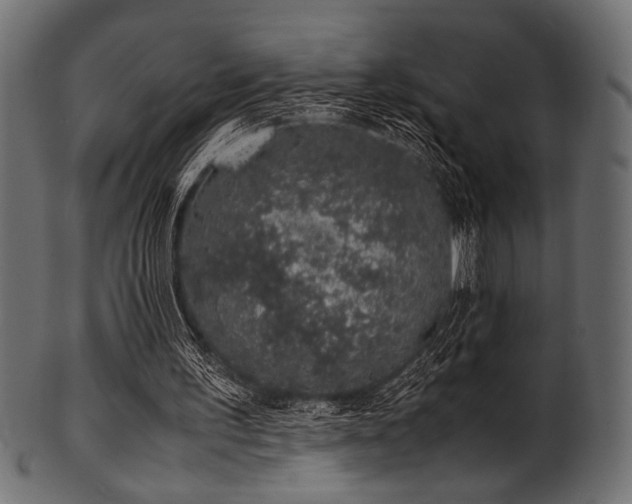 X0000101990195200807181155