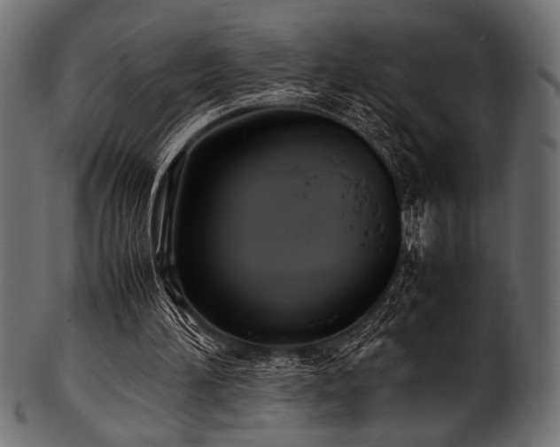 X0000101990196200807181155