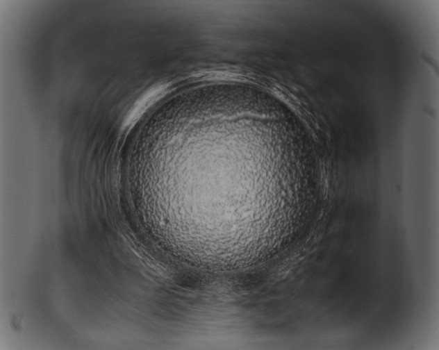 X0000101990199200807181155