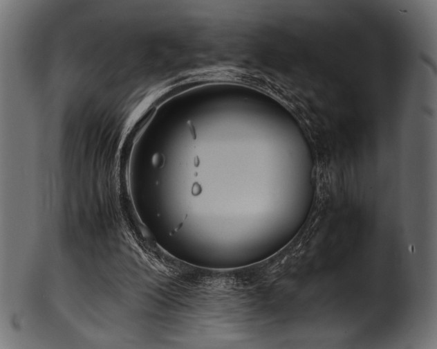 X0000101990200200807181155