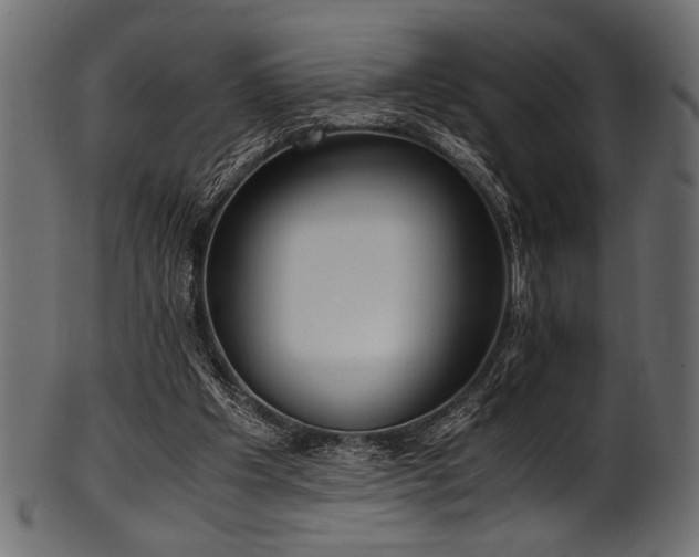 X0000101990201200807181155
