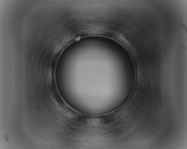 X0000101990202200807181155