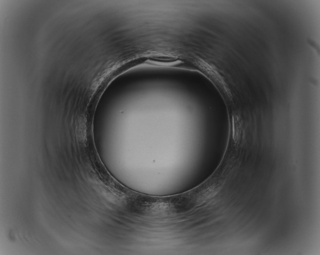 X0000101990204200807181155