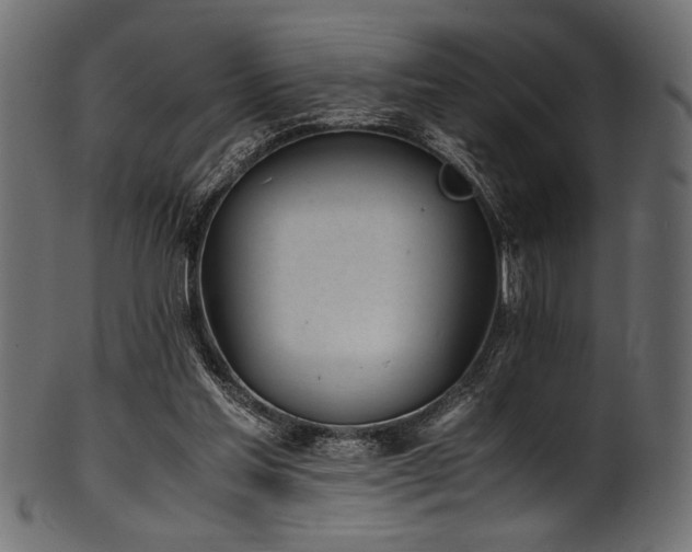 X0000101990205200807181155