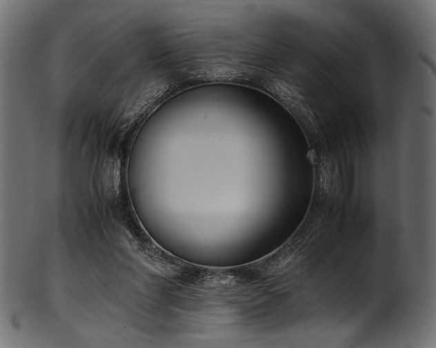 X0000101990206200807181155