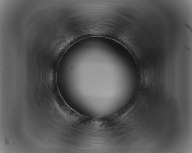 X0000101990208200807181155