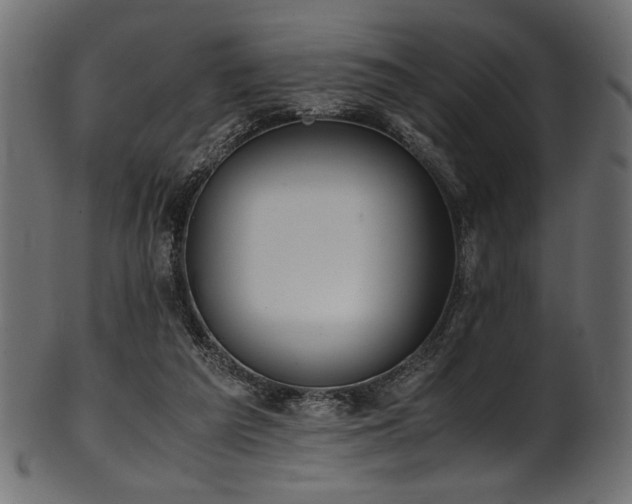 X0000101990209200807181155