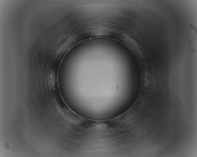 X0000101990210200807181155
