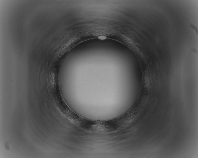 X0000101990211200807181155