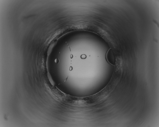 X0000101990212200807181155