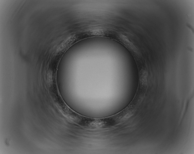 X0000101990213200807181155