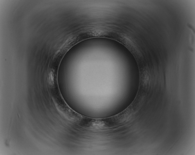 X0000101990214200807181155