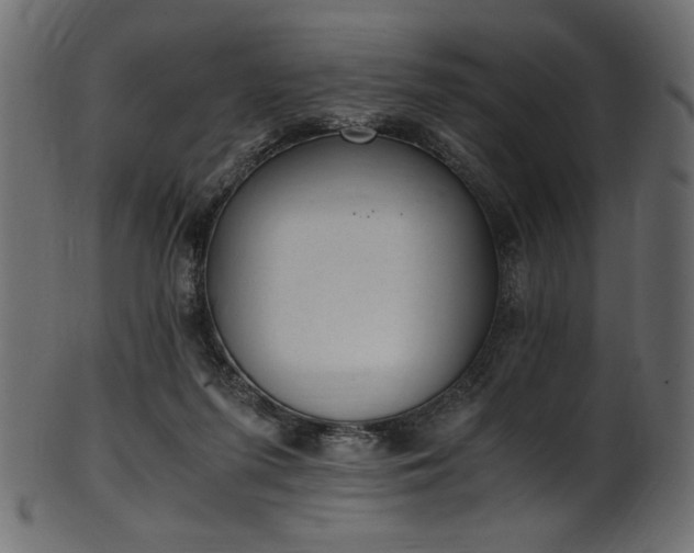X0000101990215200807181155