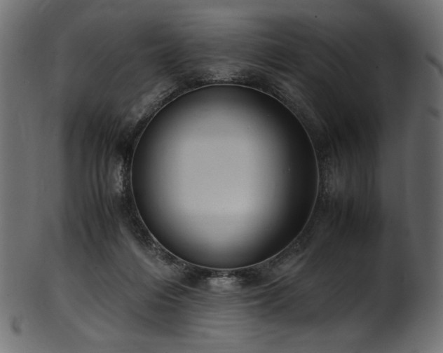 X0000101990216200807181155