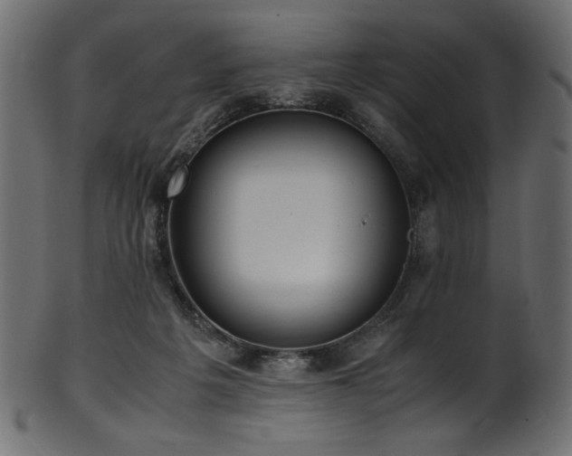 X0000101990217200807181155