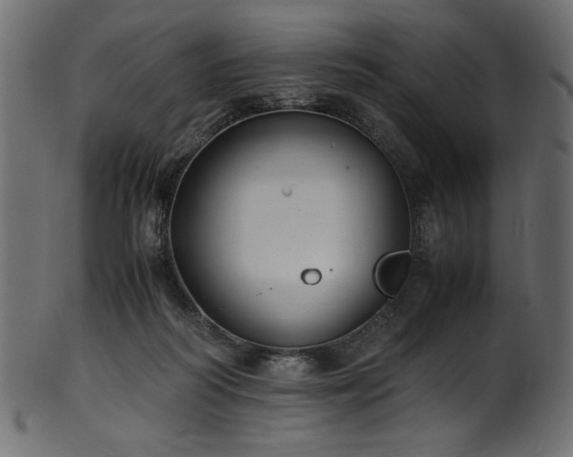 X0000101990218200807181155