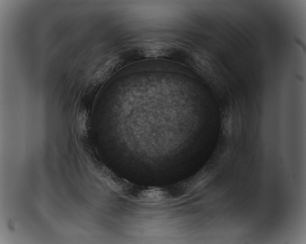 X0000101990219200807181155