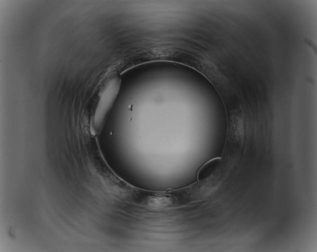 X0000101990220200807181155