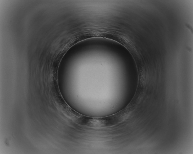 X0000101990221200807181155
