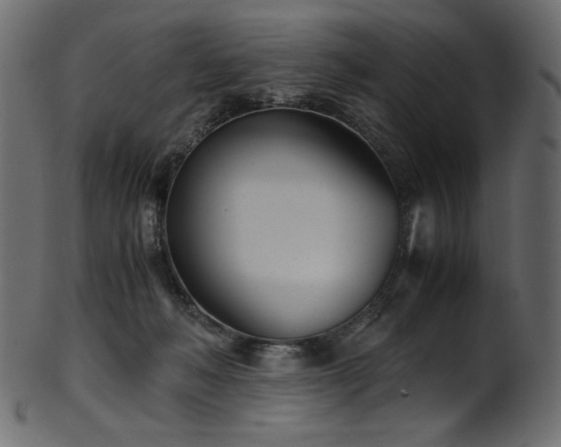 X0000101990222200807181155