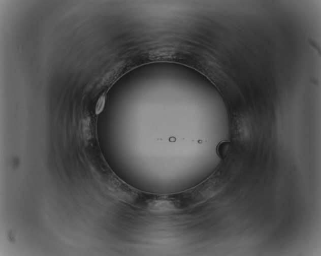 X0000101990224200807181155