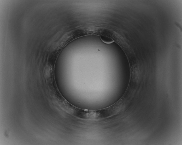 X0000101990225200807181155