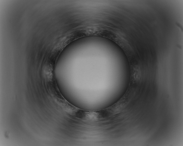 X0000101990226200807181155
