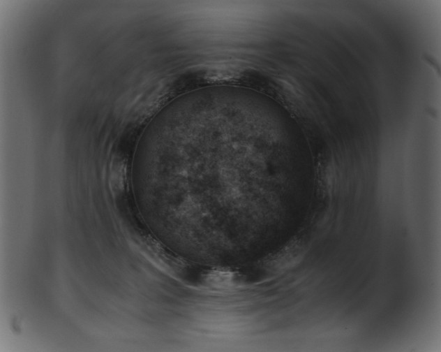 X0000101990227200807181155