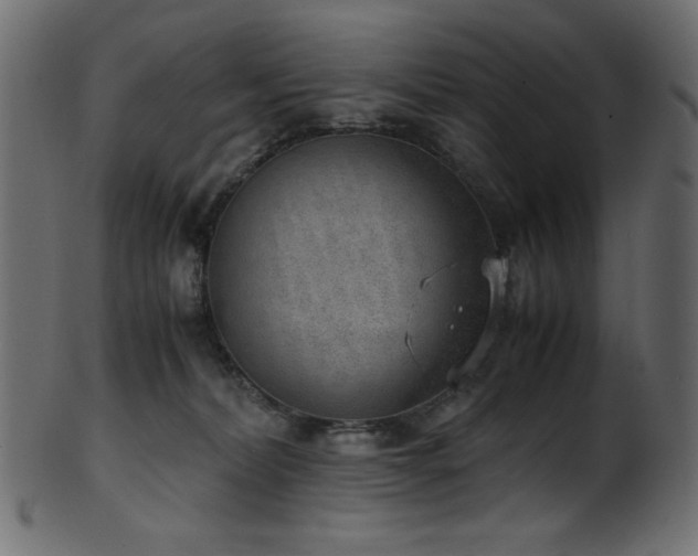 X0000101990228200807181155
