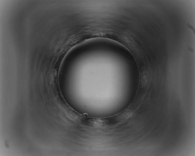 X0000101990229200807181155