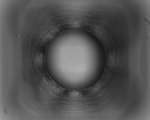 X0000101990230200807181155