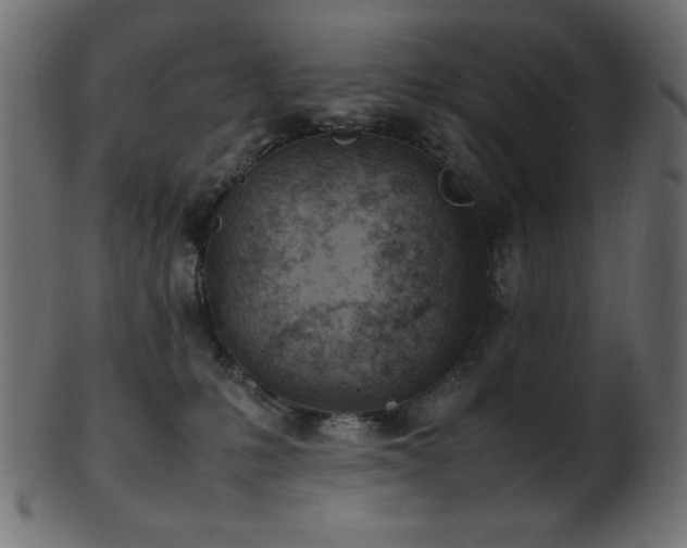 X0000101990231200807181155