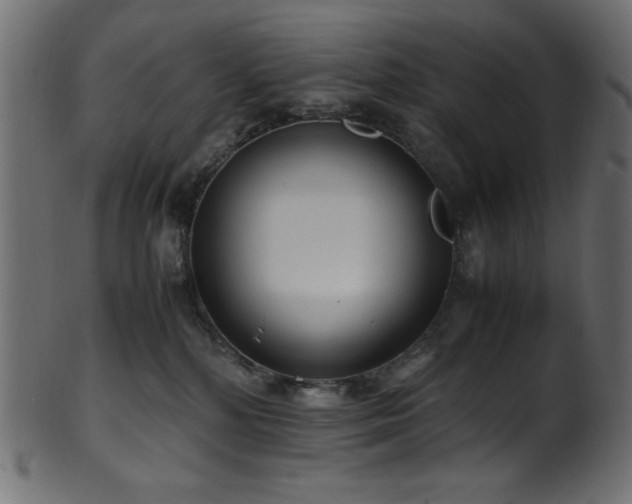 X0000101990232200807181155
