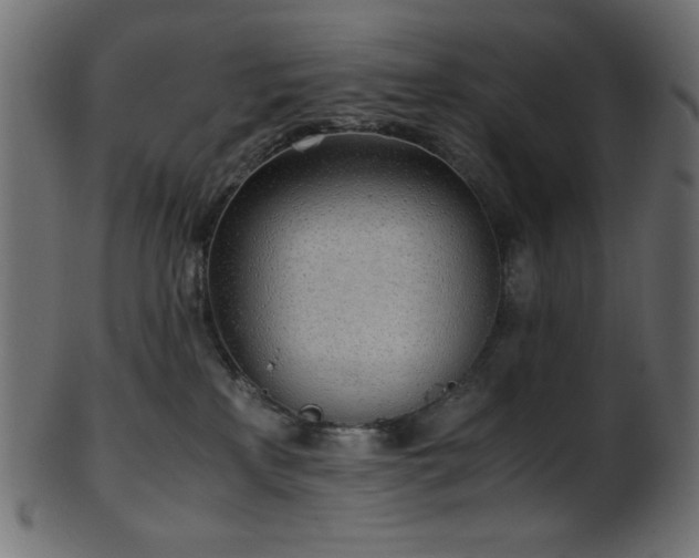 X0000101990233200807181155