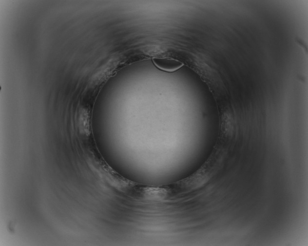 X0000101990234200807181155