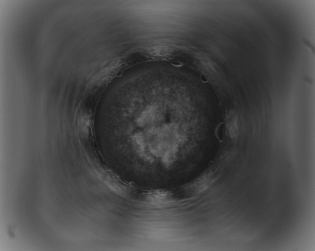 X0000101990235200807181155