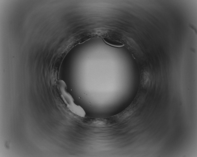 X0000101990236200807181155
