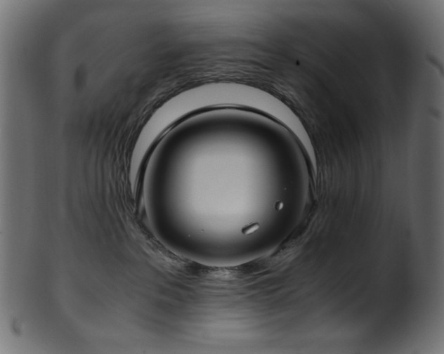 X0000101990237200807181155