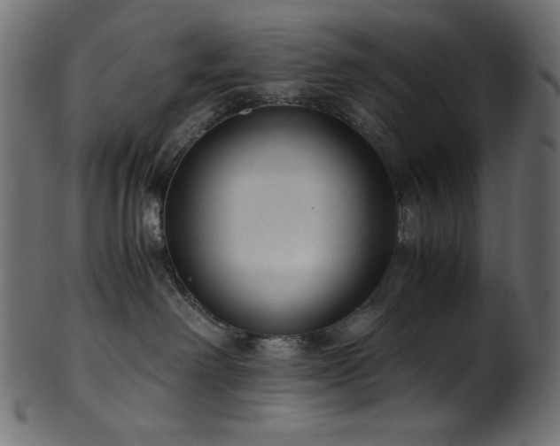 X0000101990238200807181155