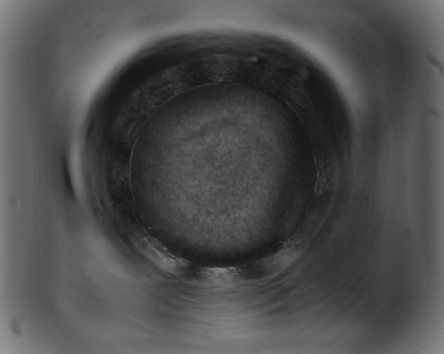 X0000101990239200807181155