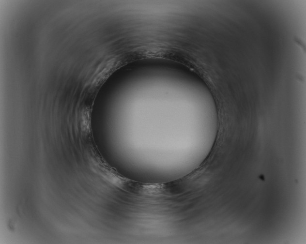 X0000101990240200807181155