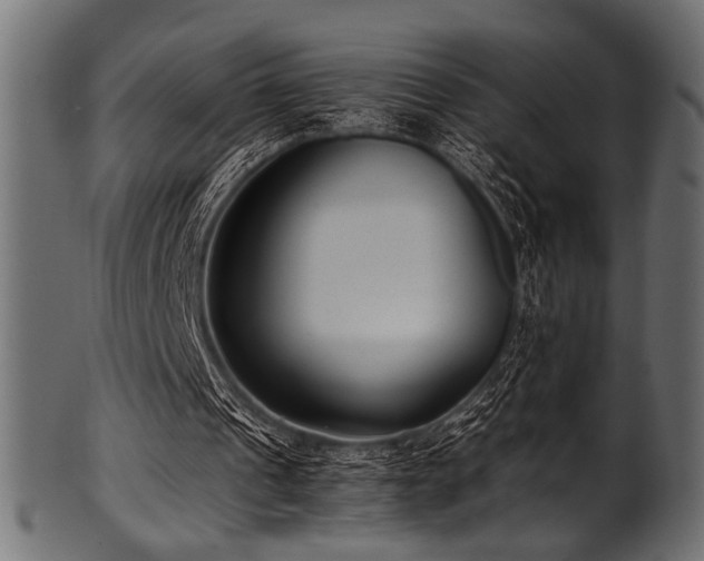 X0000101990241200807181154