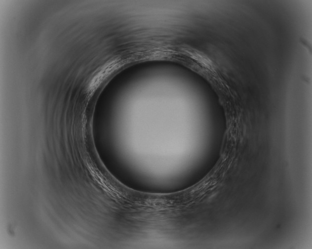 X0000101990242200807181154